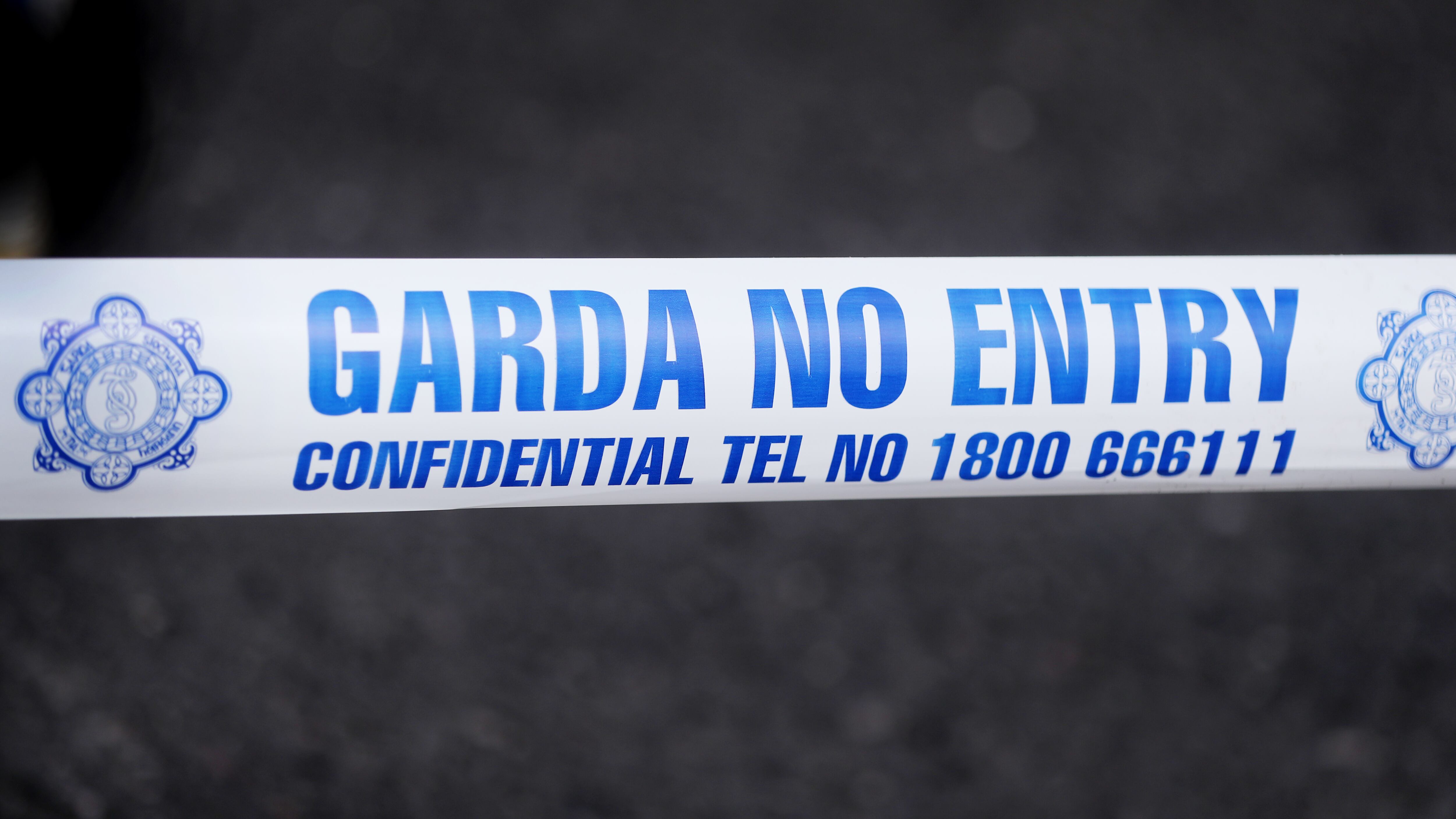 A pit-bull terrier was shot and killed by gardai after it attacked a man and woman at a house in Cork