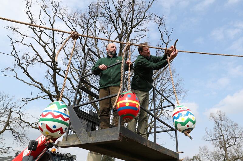 Safari park staff