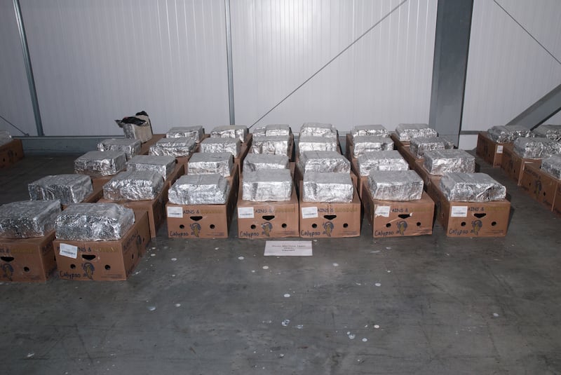 Cocaine was found in foil packages inside crates of bananas