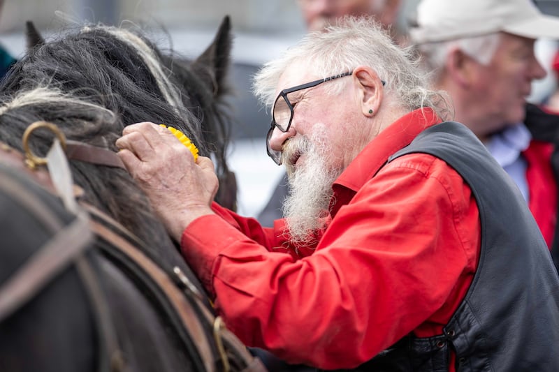 24/08/24 REPRO FREE.. Denis. Butler dresses his horse at the show.

Crowds of locals and visitors made their way to the Lammas Fair this bank holiday weekend.

Events on the Saturday started the fair weekend off with a beach dog ability display, a new addition for 2024. Market stalls lined the streets as visitors enjoyed the Naturally North Coast and Glens Artisan Market.
Mayor of Causeway Coast and Glens Councillor Ciarán McQuillan presented the heavy horse show prizes and also met with the many visitors who came along for the long weekend. Pictures Causeway Coast & Glens Borough Council