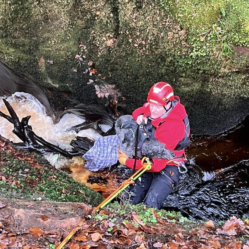 Rescuers pull Margot the dog to safety at the Devil’s Pulpit waterfall .