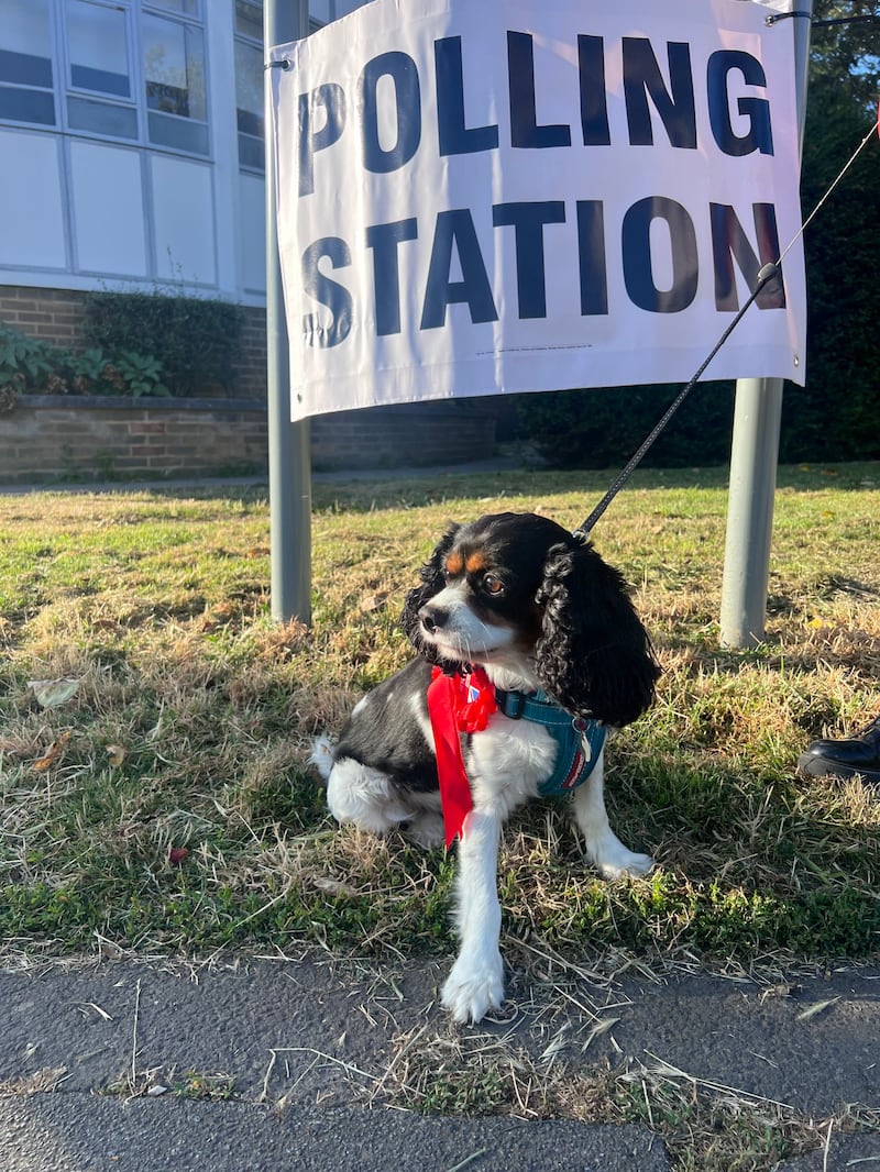 Mike Birtwistle’s dog Reggie outside a polling station