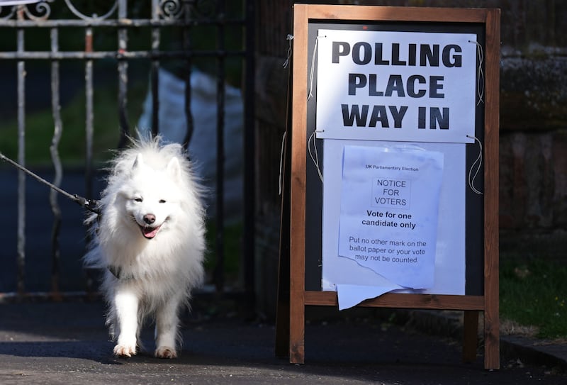A dog waited patiently for its owner to vote at Pollokshields Burgh Halls in Glasgow