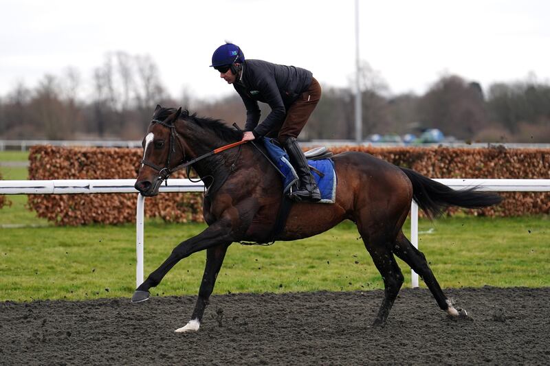 Jonbon on the gallops at Kempton Park Racecourse, Sunbury-on-Thames, Surrey. Picture date: Tuesday February 28, 2023.