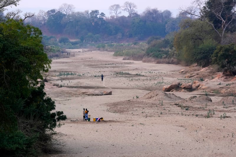 Women scoop water from holes dug in a dried-up riverbed in Lusitu, Zambia (Themba Hadebe/AP)