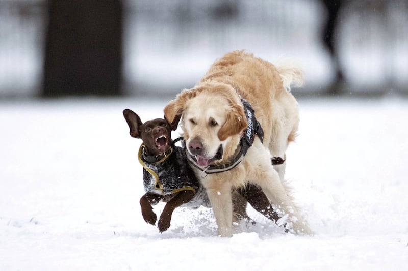 Snow, ice and cold temperatures are forecast this week, the Met Office said