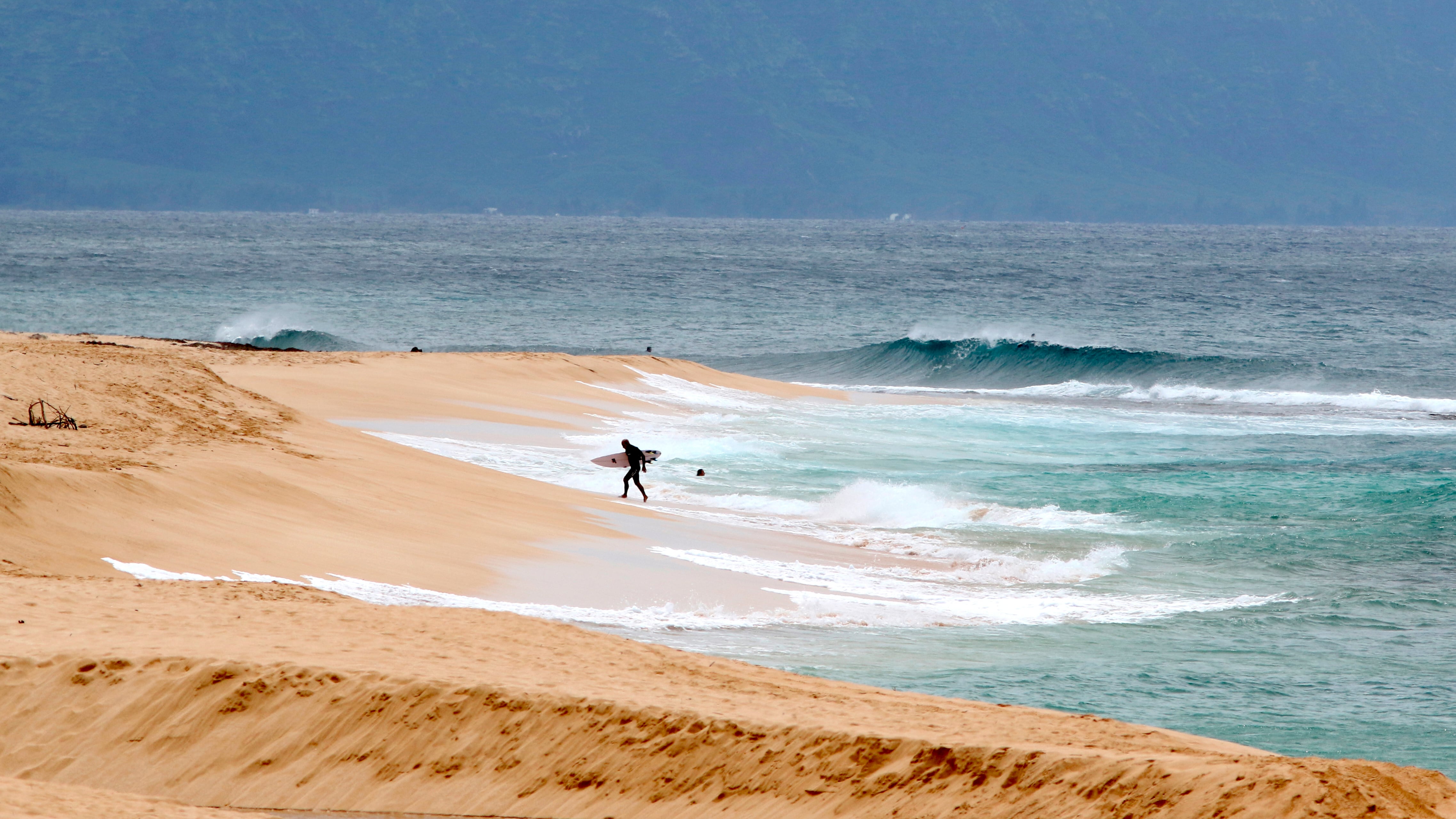 A professional lifeguard died after he was attacked by a shark while surfing off the island of Oahu in Hawaii (AP)