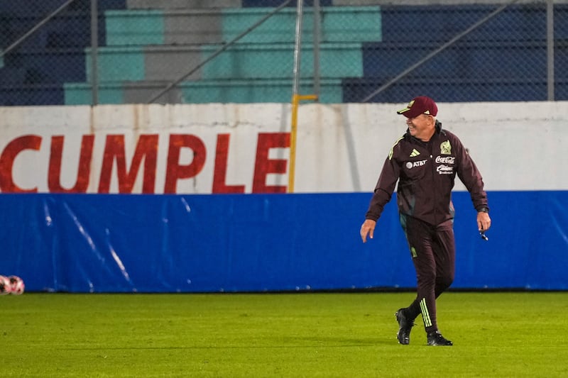 Mexico head coach Javier Aguirre was struck by a beer can (Moises Castillo/AP)