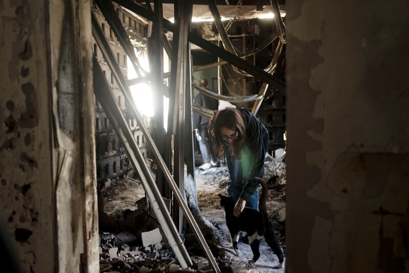 Sharon Alony Cunio is reunited with her cat, Elvis, on Monday in the ruins of her home in Kibbutz Nir Oz from where she was kidnapped with her daughters and husband on October 7 by Hamas militants (Maya Alleruzzo/AP)