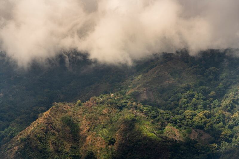Coffee farms located on the mountain sides high up in the Sierra Nevada de Santa Marta. (Chris Terry/Fairtrade)