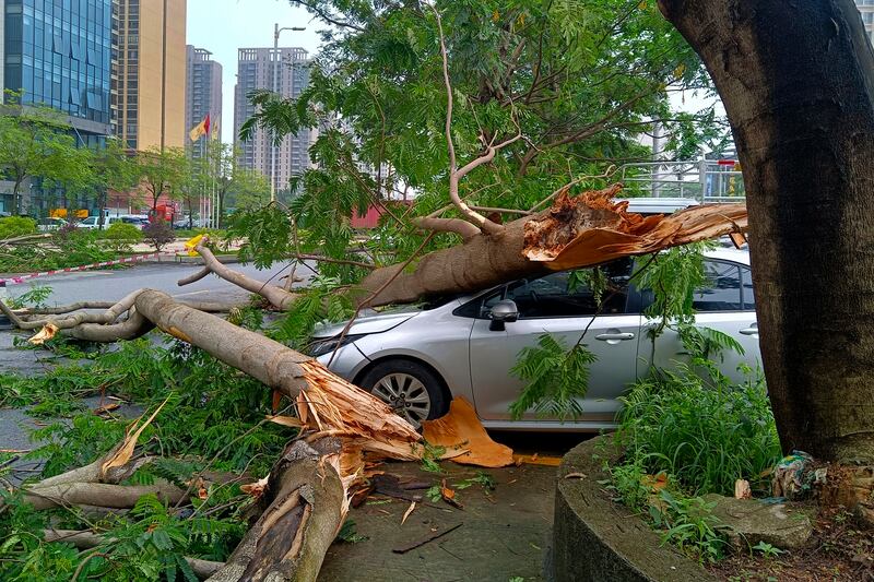 A vehicle damaged by fallen tree trunks is seen in the aftermath of heavy storms (Chinatopix Via AP)