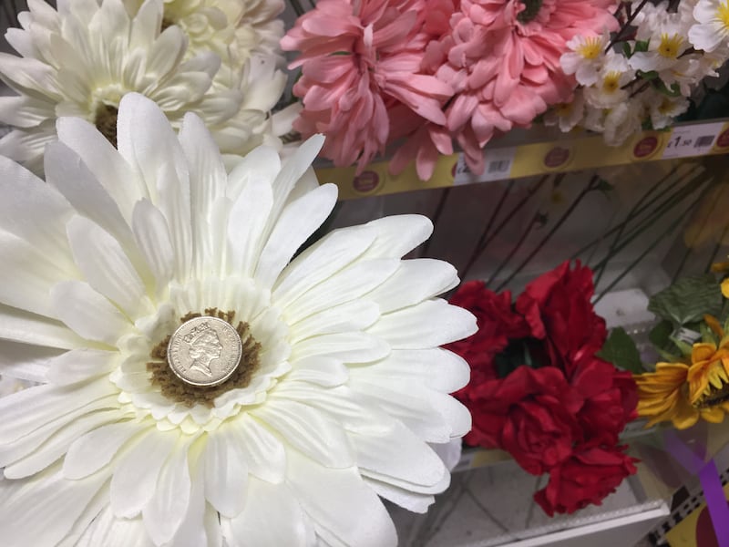 A single stem fake flower is for sale for £1 (PA)