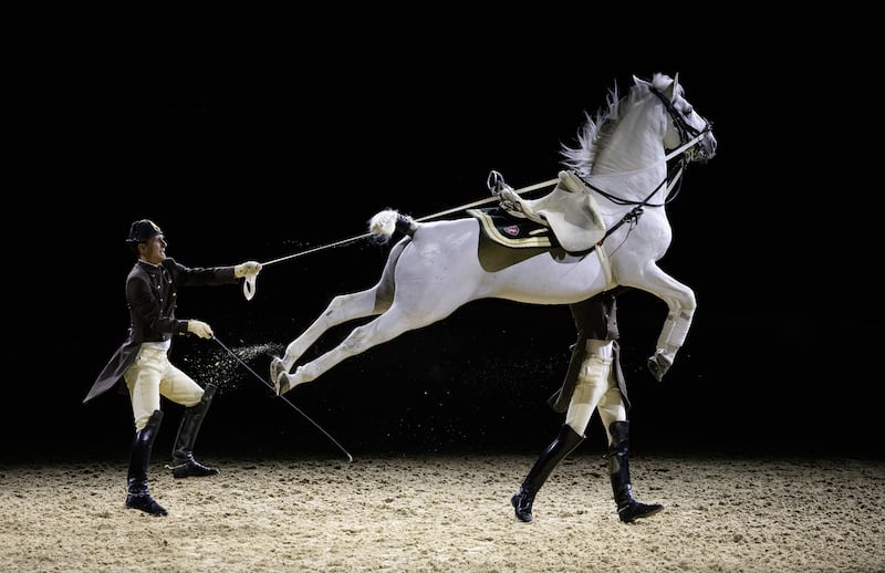 The Lipizzaners perform during the opening night of the Spanish Riding School tour