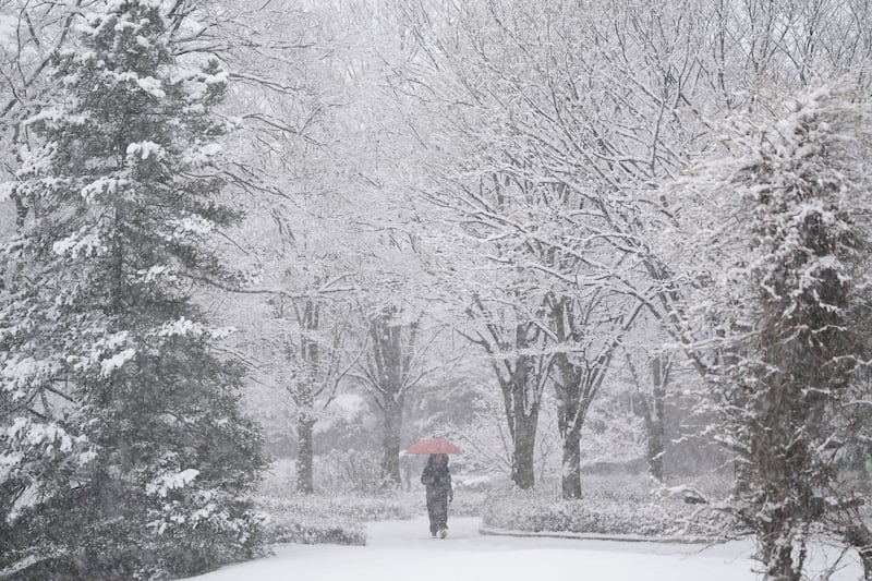 A visitor walks through a snow-covered park in Goyang, South Korea (Lee Jin-man/AP)