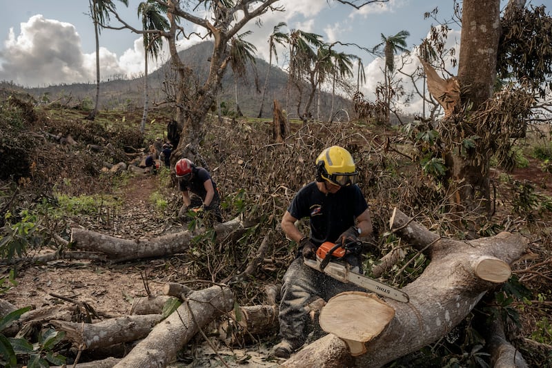 French civil security officers cut trees to open a road for heavy vehicles from Mayotte water authorities to repair water pipes in Mirereni, Mayotte (Adrienne Surprenant/AP)