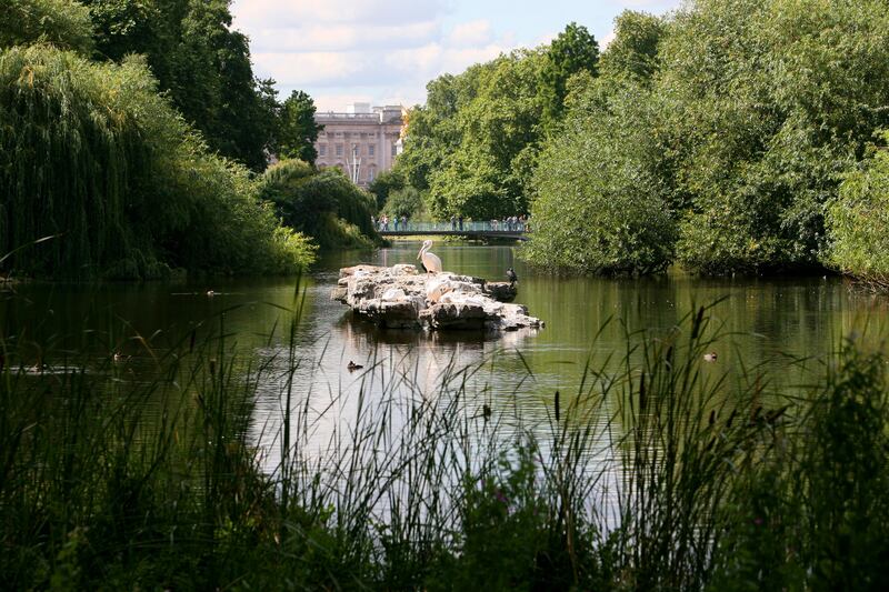 The view of Buckingham Palace from across the lake in St James’s Park