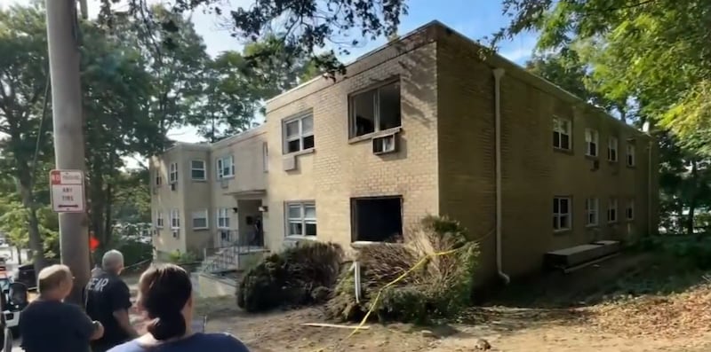 The vehicle crashed into an apartment building after hitting a curb and a tree. (CBS New York)