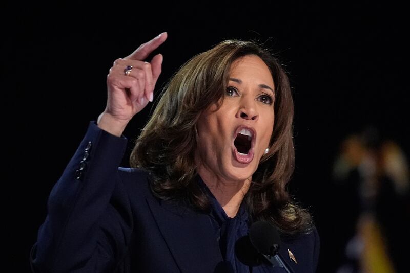 Democratic presidential nominee Vice President Kamala Harris speaks during the Democratic National Convention (Brynn Anderson/AP)