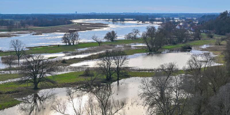 The high water from the German-Polish border river Oder has already partially flooded meadows in front of the dyke in Lebus, Germany (dpa via AP)