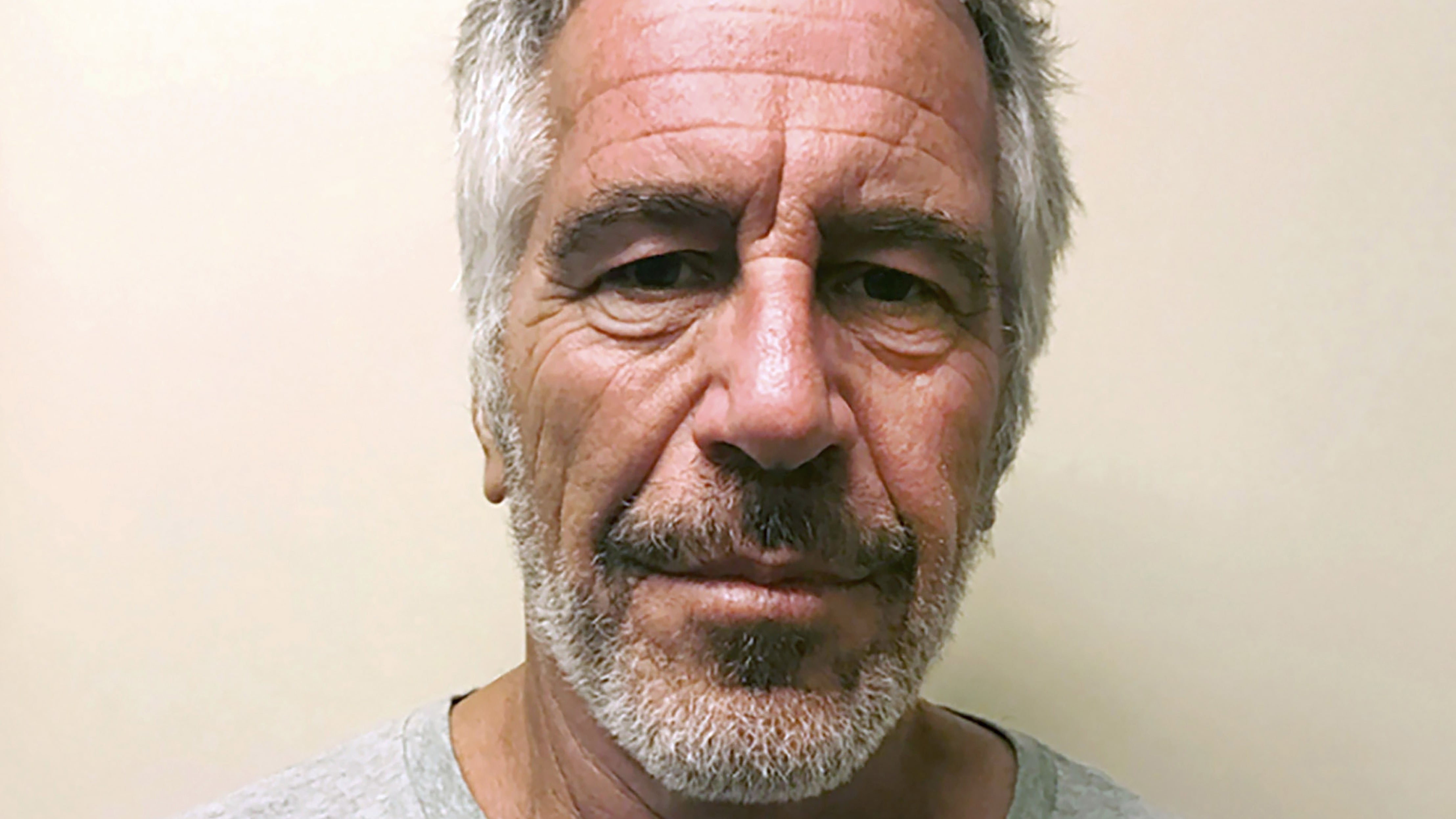 Jeffrey Epstein died aged 66 in 2019 (New York State Sex Offender Registry via AP, File)