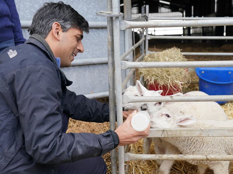 Prime Minister Rishi Sunak bottle feeding lambs during a visit to Rowlinson’s Farm in Macclesfield