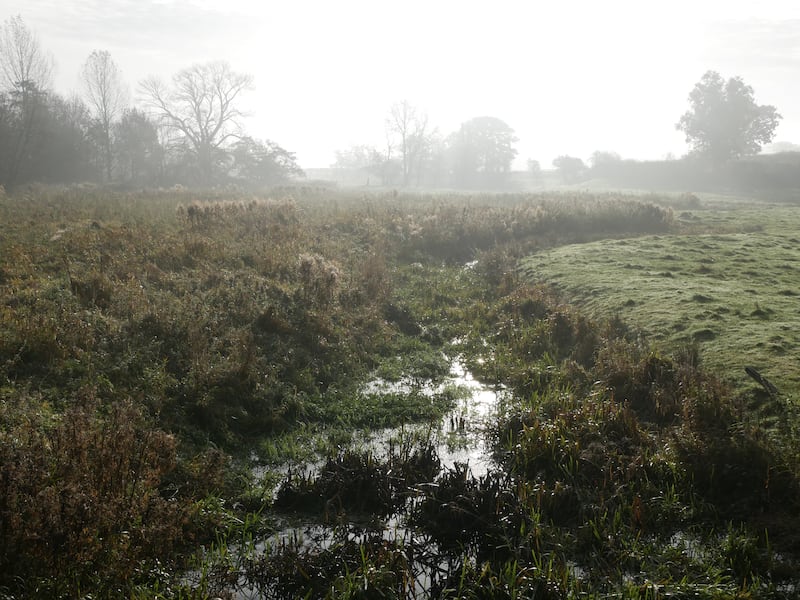 The River Bure at Blickling, Norfolk