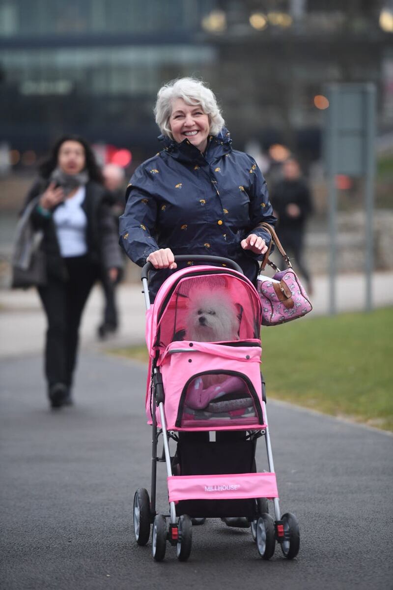 Crufts Dog Show – Day One