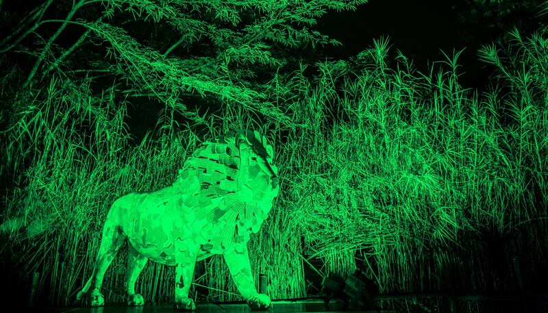 A lion statue which is made entirely from recycled flip flops in Mount Kenya National Park also went green (Tourism Ireland/PA)