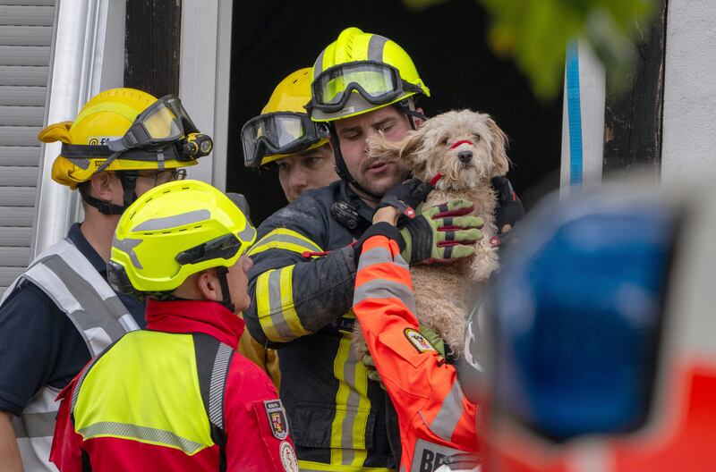 A dog was also rescued from the partially collapsed hotel (Harald Tittel/dpa via AP)