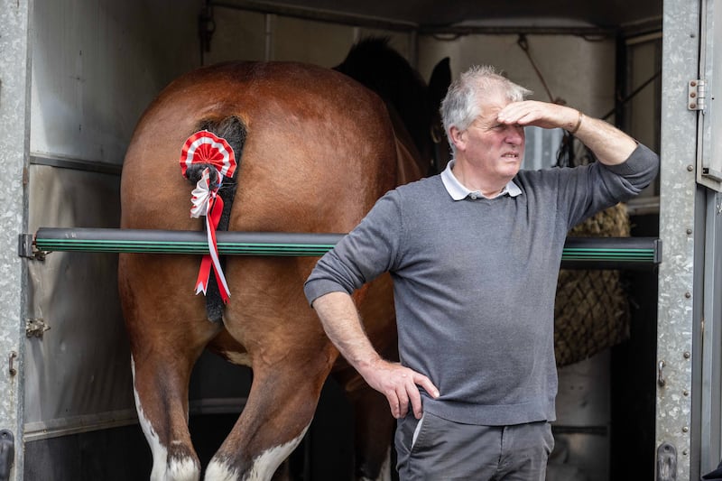 24/08/24 REPRO FREE.. Eddie Murtagh from newry keeps an eye on the horse show.

Crowds of locals and visitors made their way to the Lammas Fair this bank holiday weekend.

Events on the Saturday started the fair weekend off with a beach dog ability display, a new addition for 2024. Market stalls lined the streets as visitors enjoyed the Naturally North Coast and Glens Artisan Market.
Mayor of Causeway Coast and Glens Councillor Ciarán McQuillan presented the heavy horse show prizes and also met with the many visitors who came along for the long weekend. Pictures Causeway Coast & Glens Borough Council