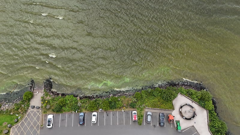 The blue-green algae has returned to Lough Neagh this year