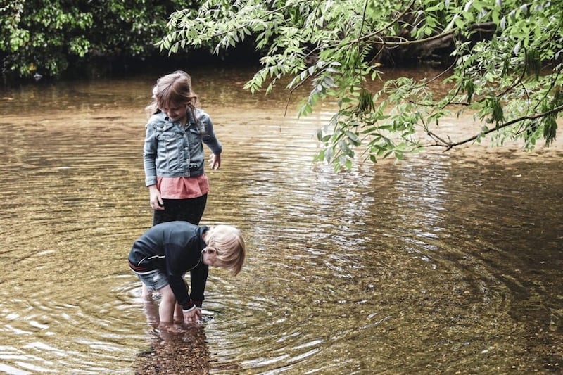 Searching for pond life in Fermanagh 