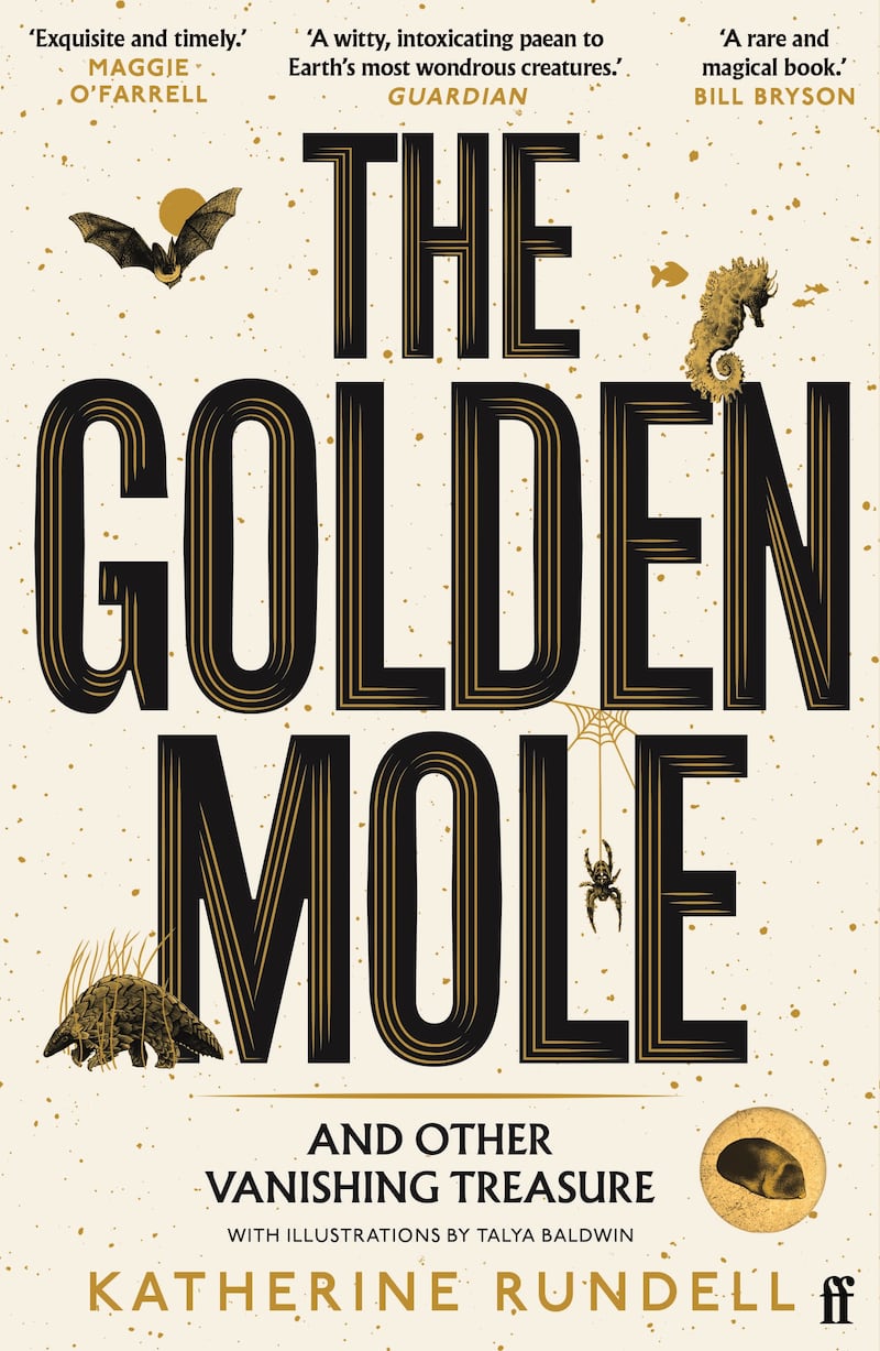 The Golden Mole by Katherine Rundell