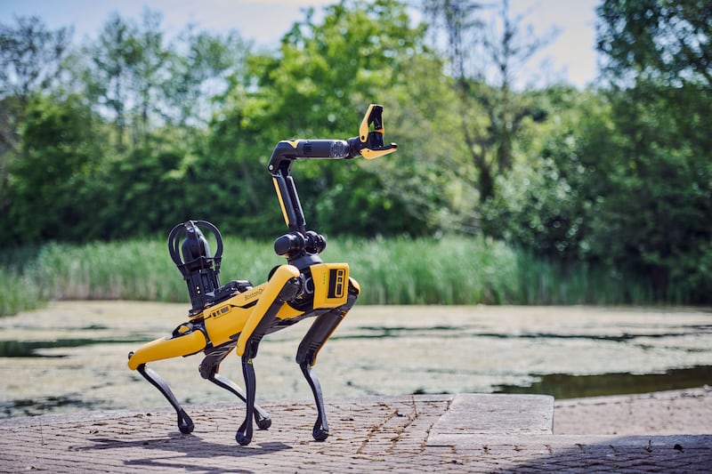 robotic dog