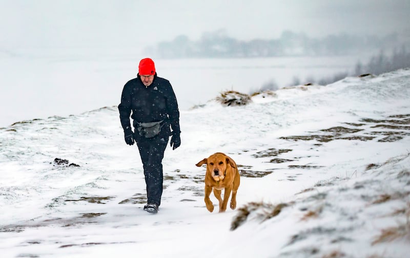 A dog running in the snow 