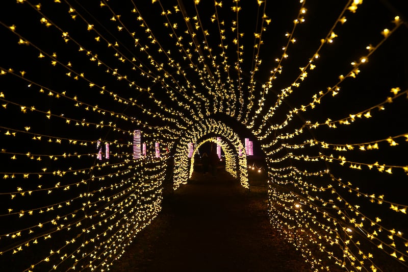 Luminate Sandringham includes a tunnel of fairy lights