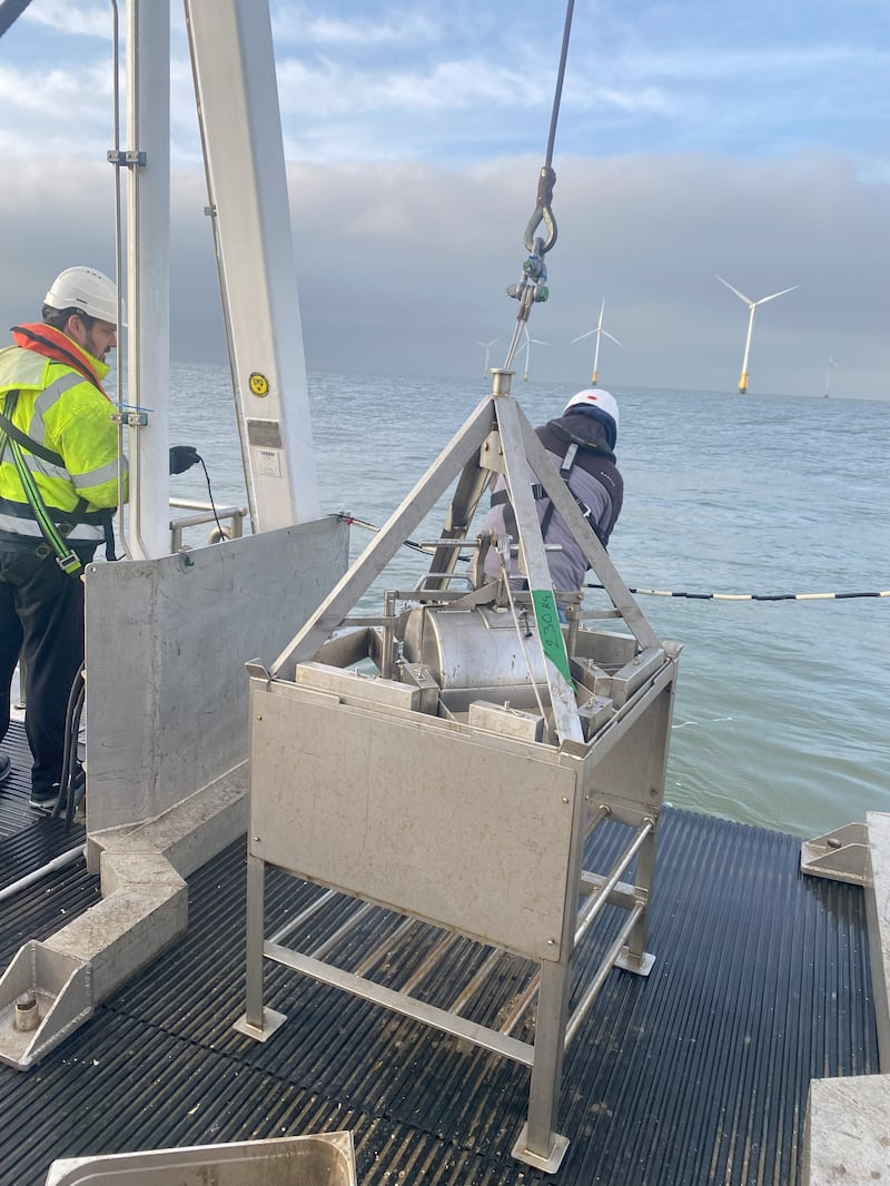 Researchers from the University of Essex took samples from the seabed near one of the UK’s oldest active offshore windfarms.