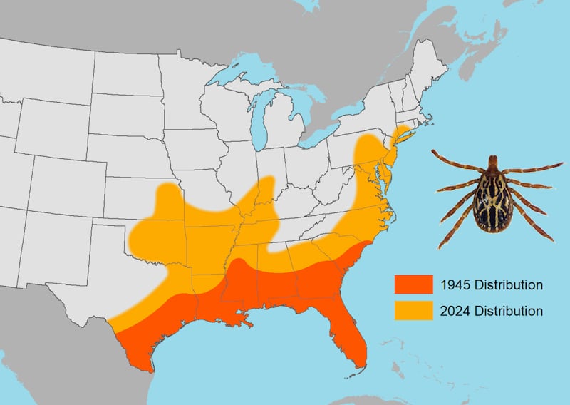 Map showing a comparison of the distribution of the Gulf Coast Tick in the US between 1945 and 2024 (CAES)