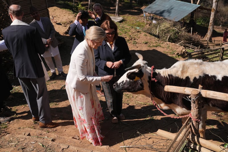 The Duke and Duchess of Edinburgh were shown indigenous cows as part of conservation efforts