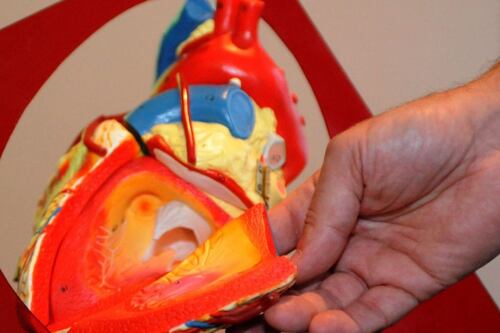 Video: A 3D-printed patch could help you recover from a heart attack