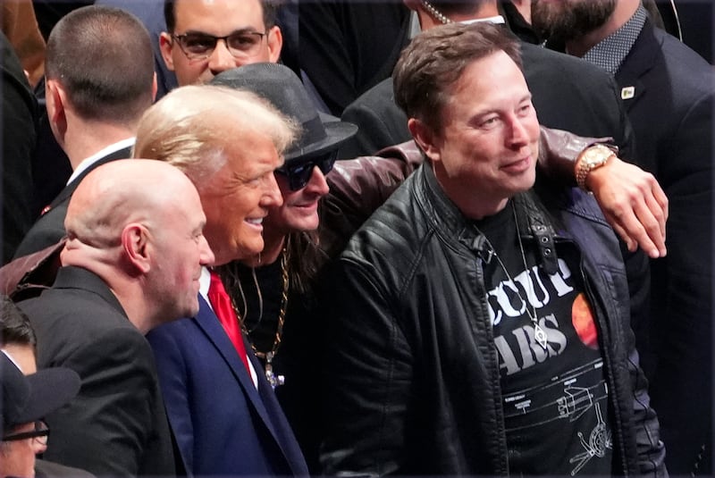 Elon Musk swung behind US President-elect Donald Trump ahead of the November election (Evan Vucci/AP)