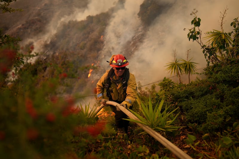 A firefighter sets up a hose while fighting the Palisades Fire in Mandeville Canyon (Eric Thayer/AP)