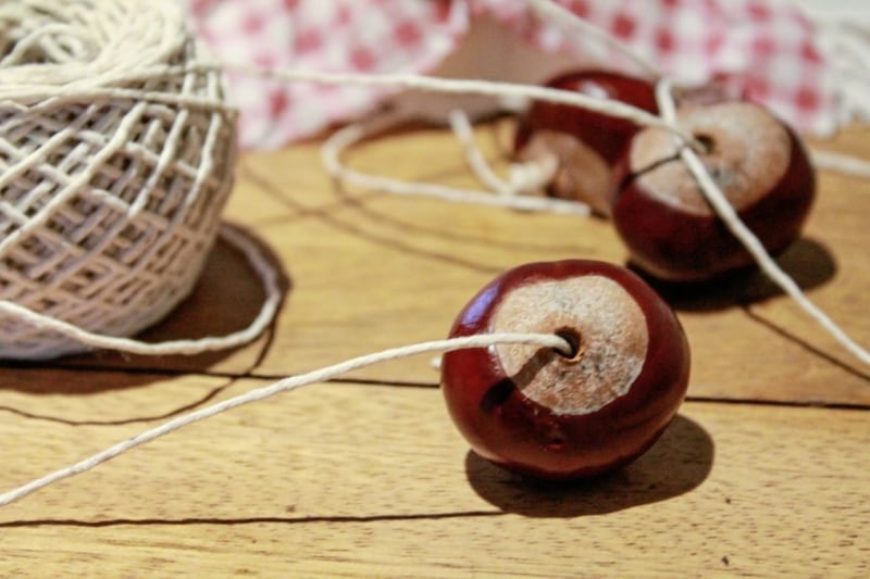 Perhaps conkers have gone the way of the hoop and marleys and jacks and kick-the-can and clackers 