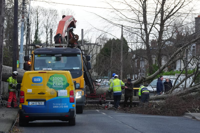 Workers start to remove a fallen tree which crashed through the wall of Phoenix Park and on to Blackhorse Avenue in Dublin