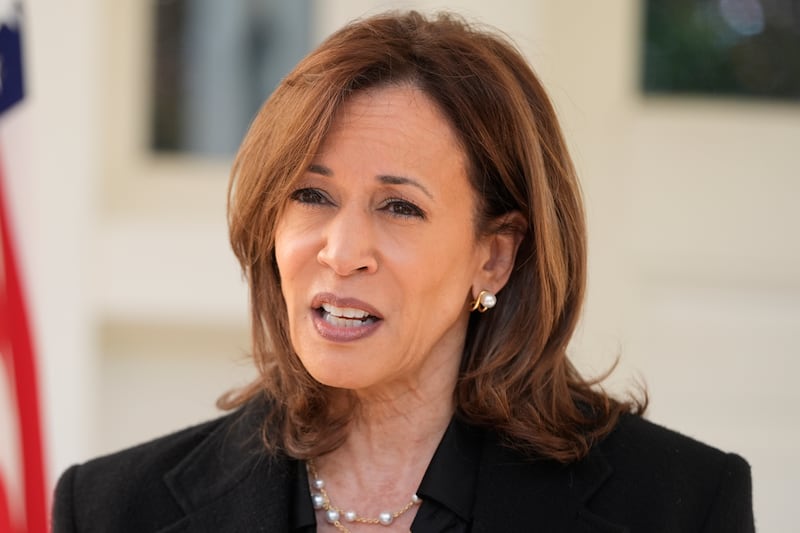 Kamala Harris (Mark Schiefelbein/AP)