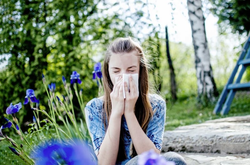 Hay fever symptoms tend to be worst around 11am and 6pm 