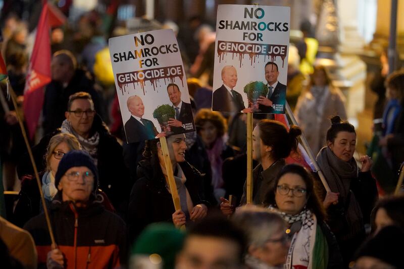 Pro-Palestinian protesters gather outside Leinster House