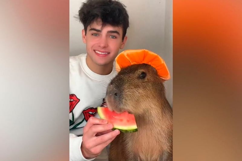 Kyle Thomas pictured with his capybara