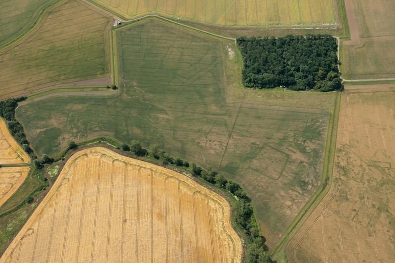 The remains show the extensive streets and buildings of a highly organised Roman settlement