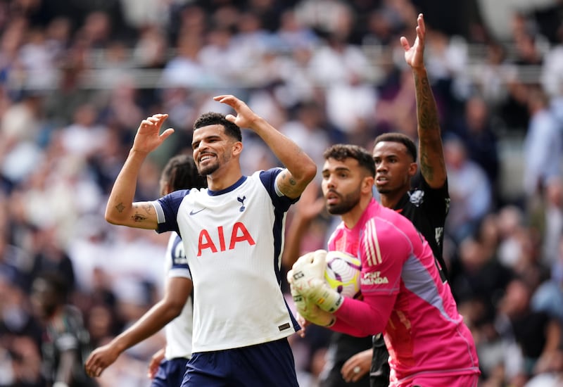 Dominic Solanke had chances for Spurs